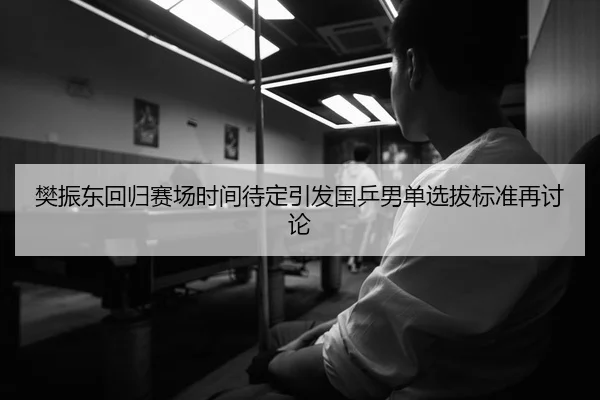 樊振东回归赛场时间待定引发国乒男单选拔标准再讨论